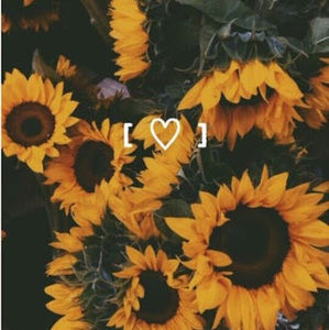 Meet your Posher, Royce